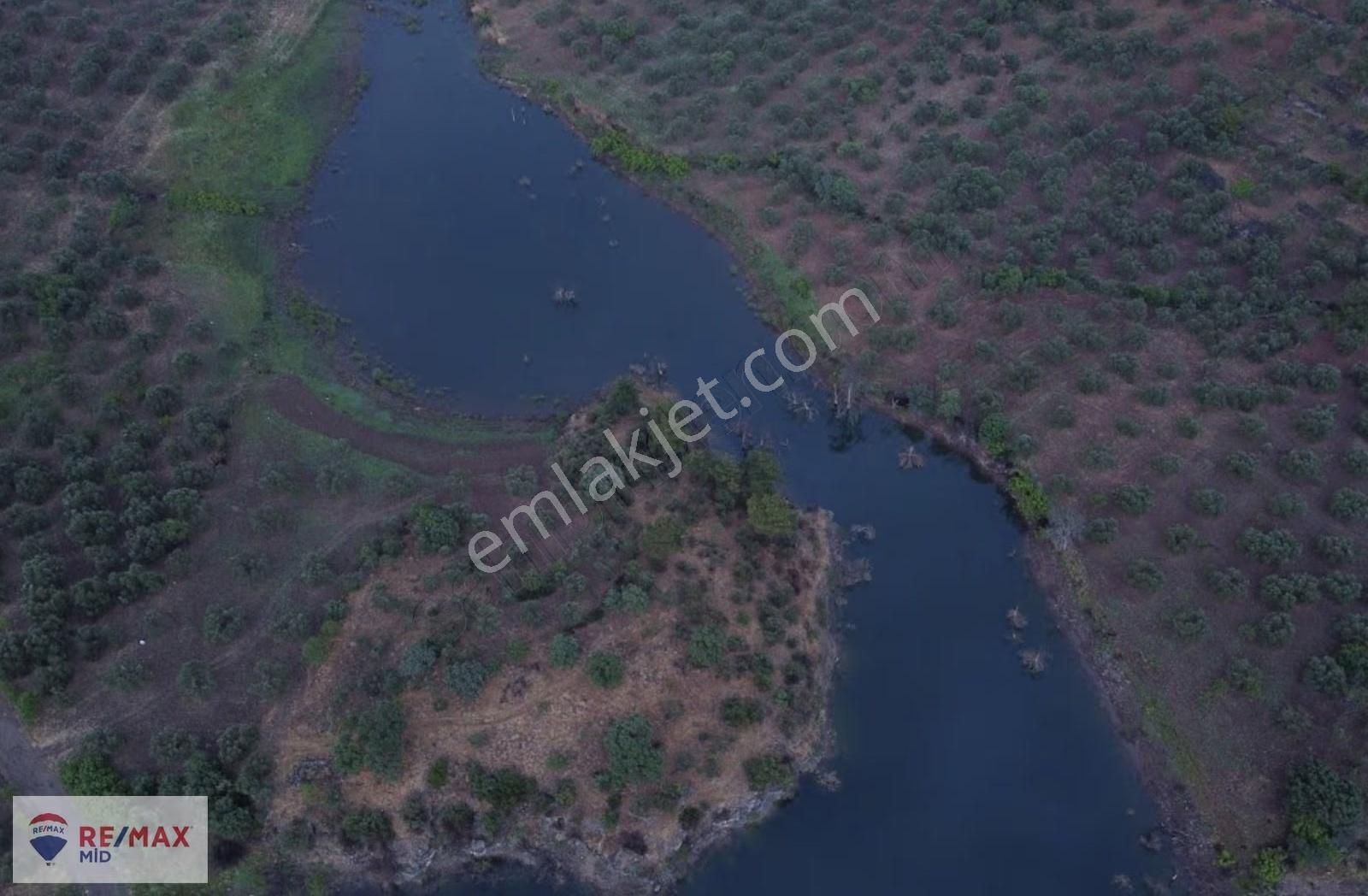 Havran Sarnıç Mah. Baraj Manzaralı 1827 M2 Satılık Zeytinlik - Görsel 3