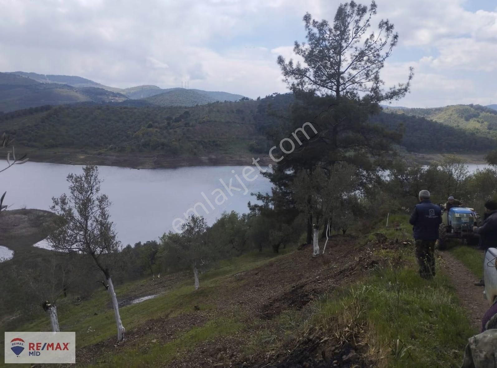 Havran Sarnıç Mah. Baraj Manzaralı 1827 M2 Satılık Zeytinlik - Görsel 19