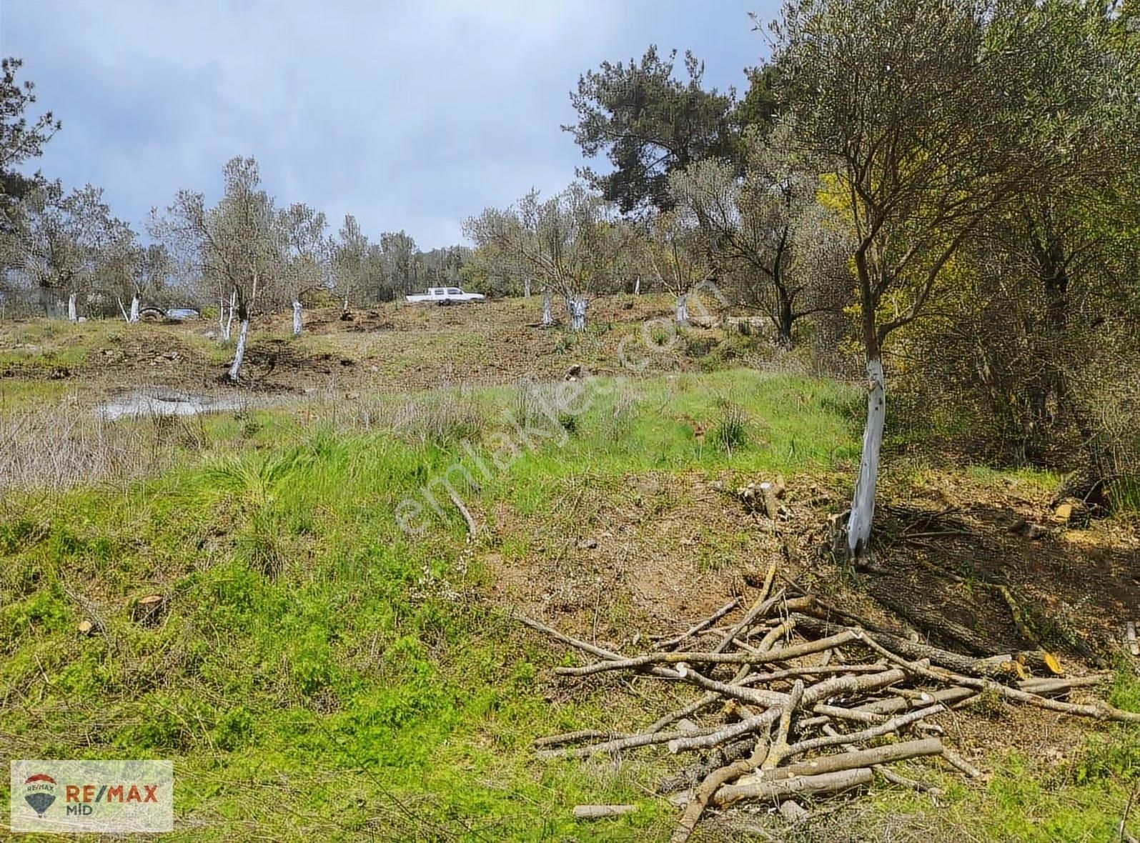 Havran Sarnıç Mah. Baraj Manzaralı 1827 M2 Satılık Zeytinlik - Görsel 8