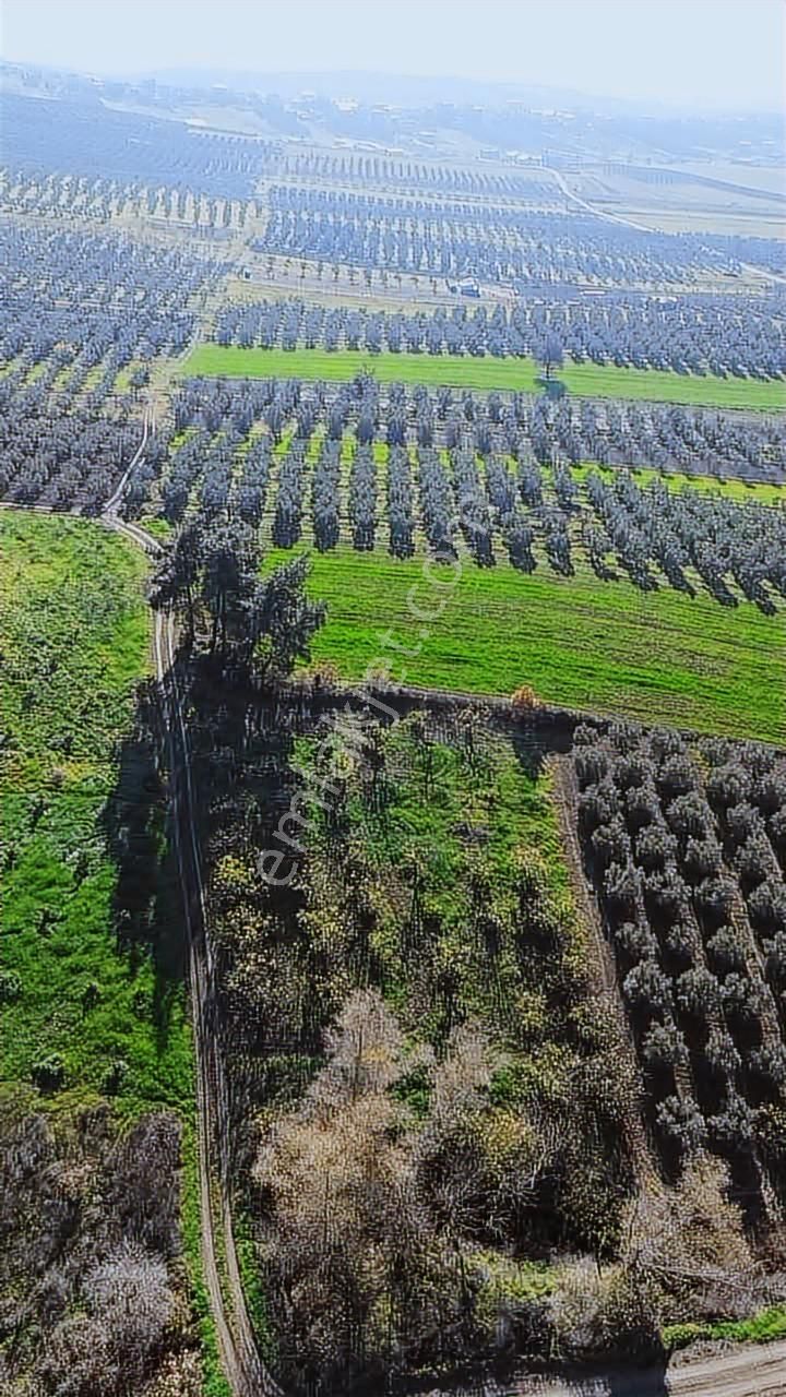 *ülküköy'de Yola Cepheli,yüksek Potansiyelli Yatırımlık Arazi!* - Görsel 4
