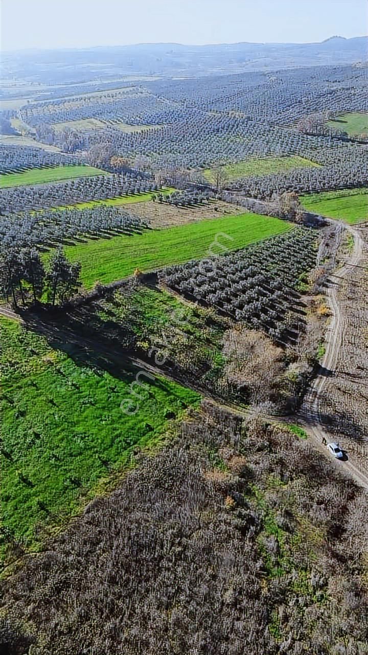*ülküköy'de Yola Cepheli,yüksek Potansiyelli Yatırımlık Arazi!* - Görsel 2