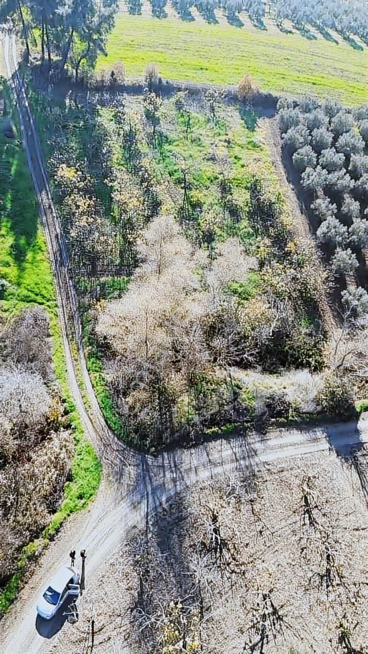 *ülküköy'de Yola Cepheli,yüksek Potansiyelli Yatırımlık Arazi!* - Görsel 9