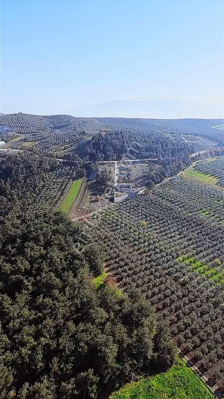 *ülküköy'de Yola Cepheli,yüksek Potansiyelli Yatırımlık Arazi!* - Görsel 17