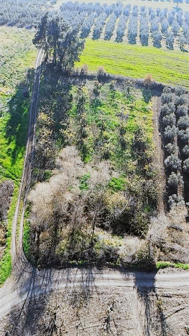 *ülküköy'de Yola Cepheli,yüksek Potansiyelli Yatırımlık Arazi!* - Görsel 10
