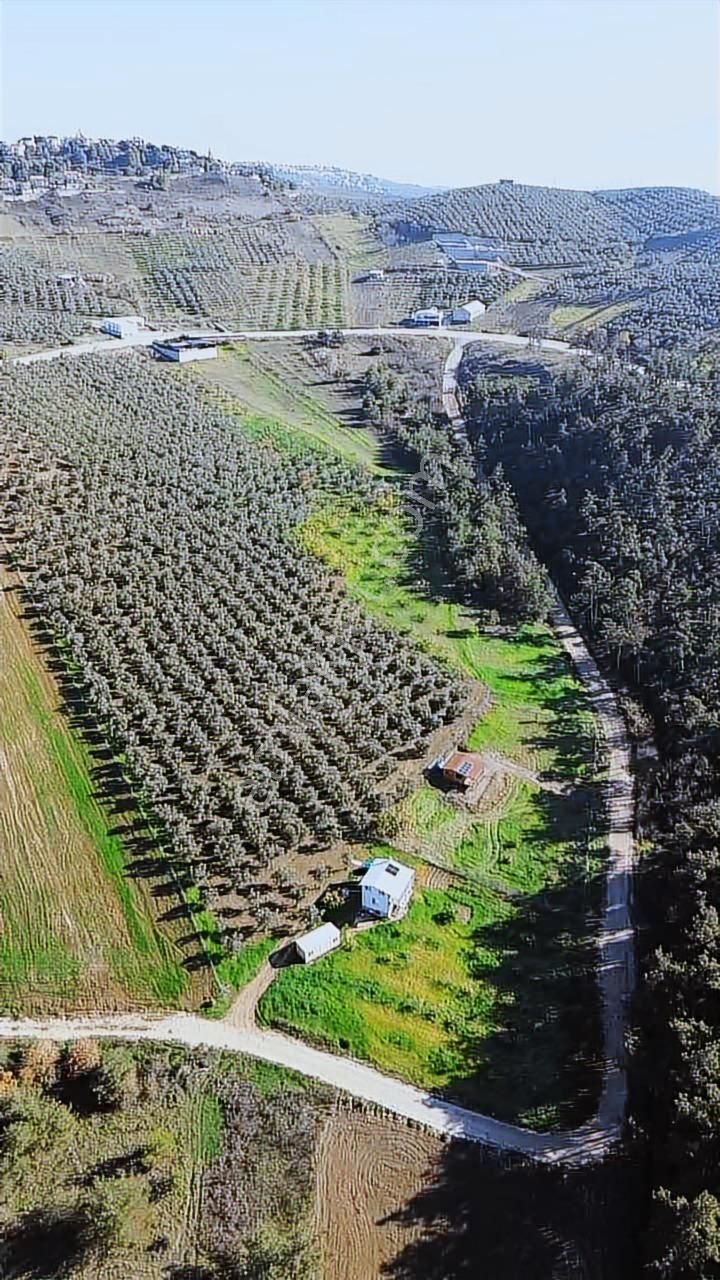 *ülküköy'de Yola Cepheli,yüksek Potansiyelli Yatırımlık Arazi!* - Görsel 12