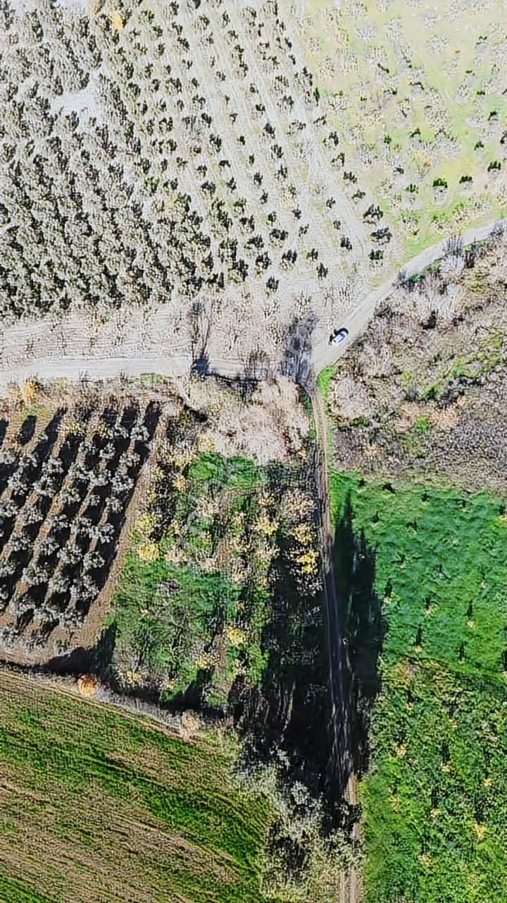 *ülküköy'de Yola Cepheli,yüksek Potansiyelli Yatırımlık Arazi!* - Görsel 3