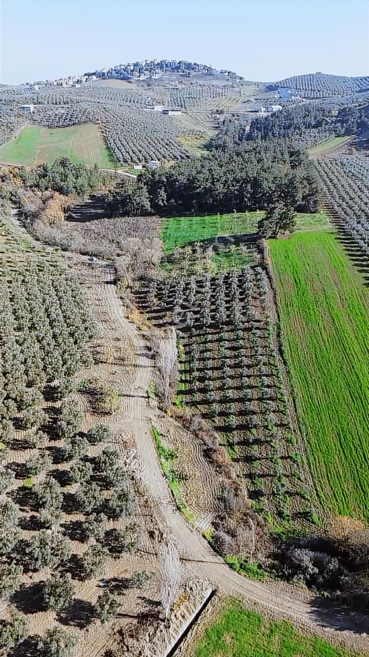 *ülküköy'de Yola Cepheli,yüksek Potansiyelli Yatırımlık Arazi!* - Görsel 13