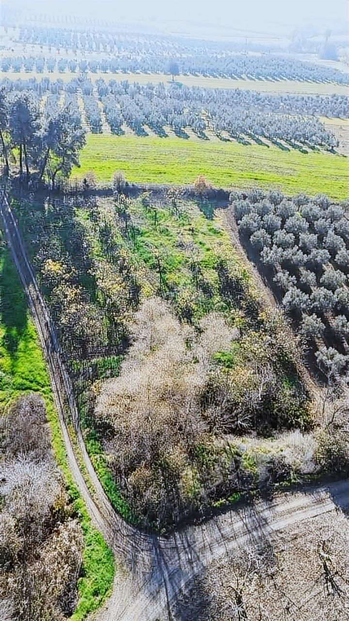 *ülküköy'de Yola Cepheli,yüksek Potansiyelli Yatırımlık Arazi!* - Görsel 15