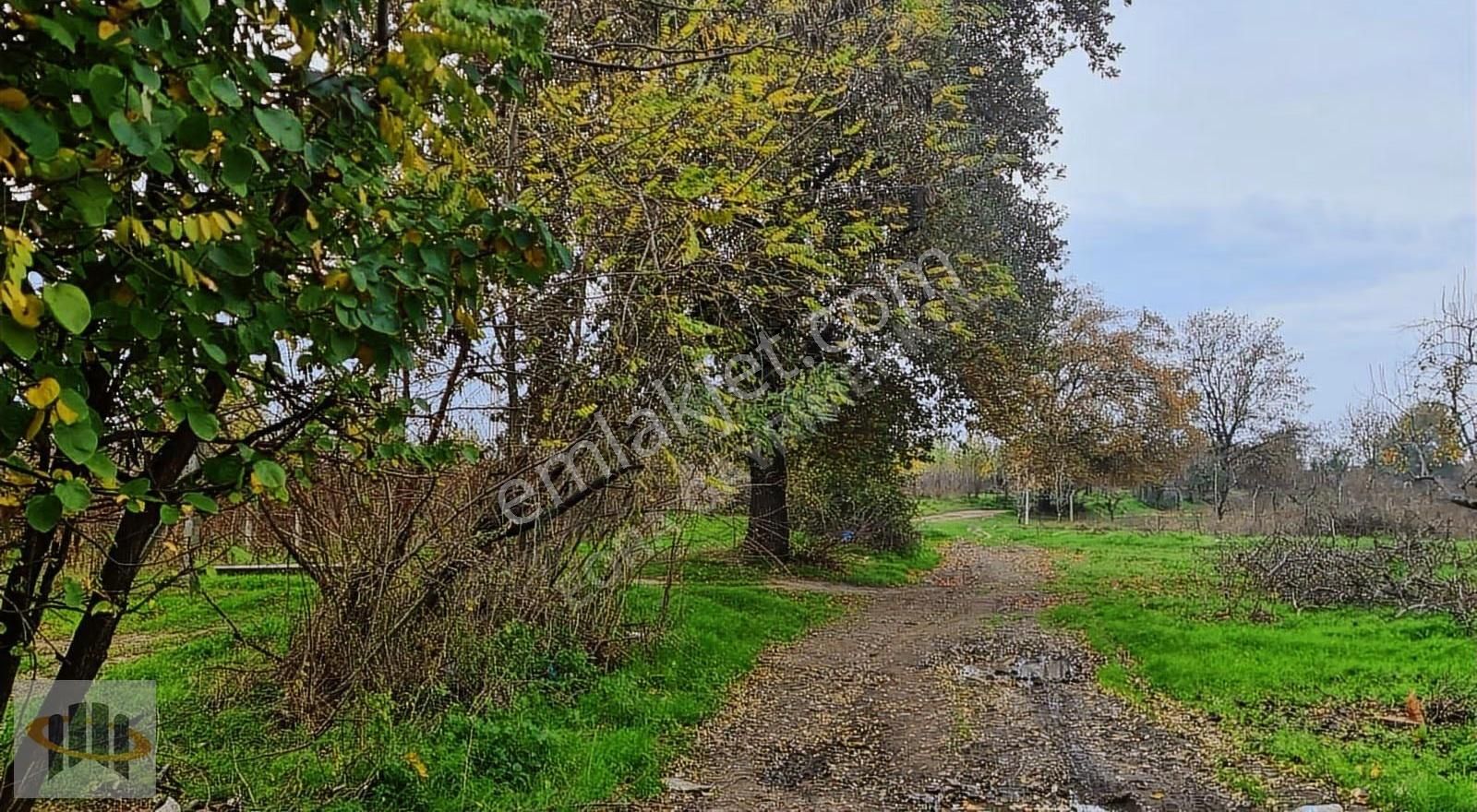 Eora'dan Yıldırım Şirinevlerde 5.376m² Satılık Yatırımlık Tarla - Görsel 27