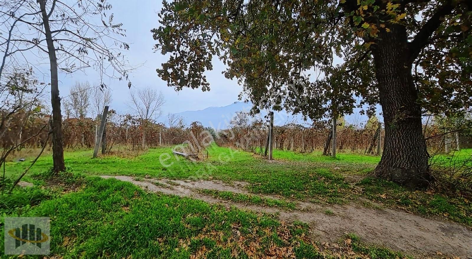 Eora'dan Yıldırım Şirinevlerde 5.376m² Satılık Yatırımlık Tarla - Görsel 31