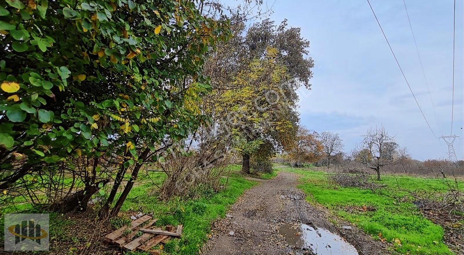 Eora'dan Yıldırım Şirinevlerde 5.376m² Satılık Yatırımlık Tarla - Görsel 3