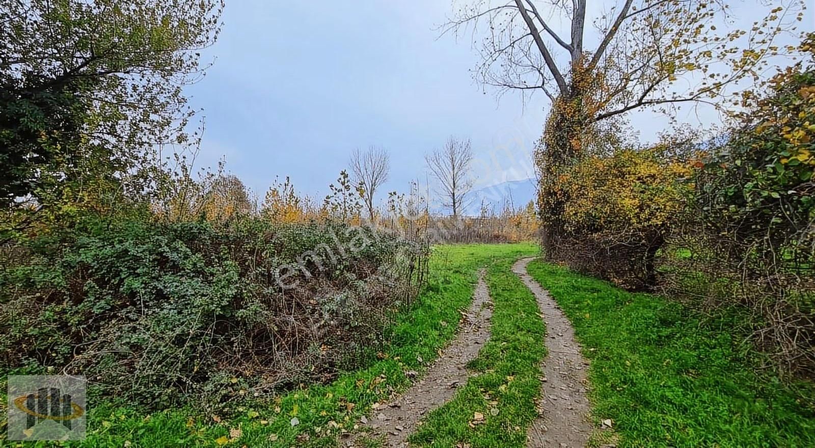 Eora'dan Yıldırım Şirinevlerde 5.376m² Satılık Yatırımlık Tarla - Görsel 30