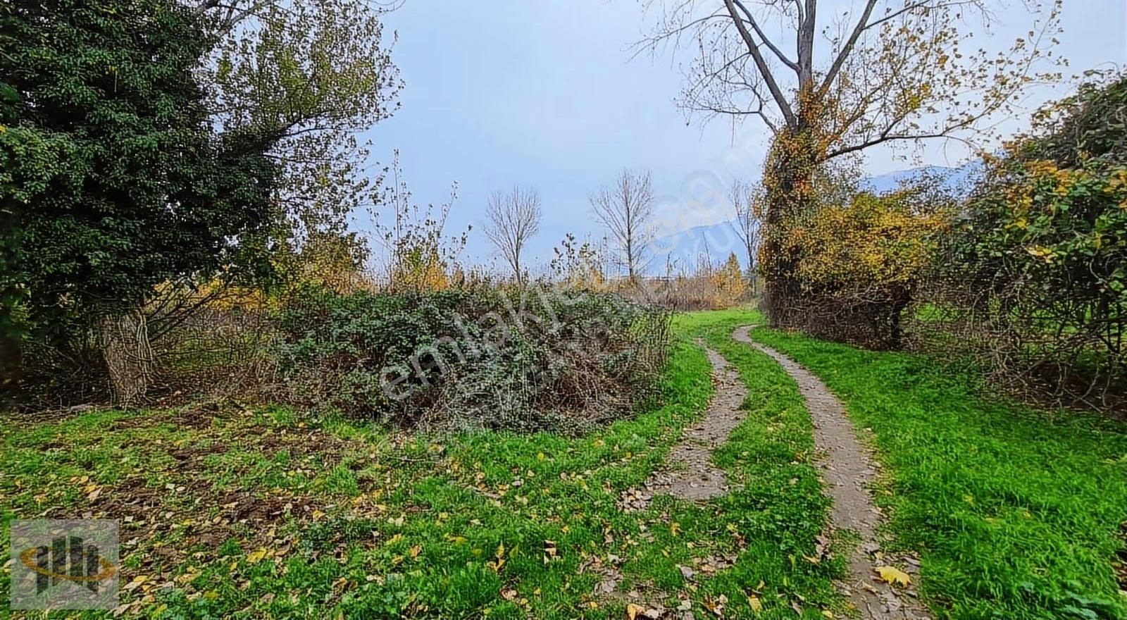 Eora'dan Yıldırım Şirinevlerde 5.376m² Satılık Yatırımlık Tarla - Görsel 4