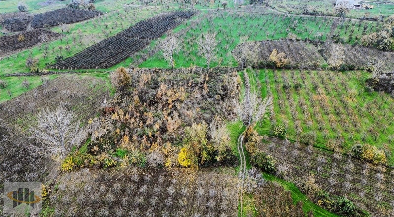 Eora'dan Yıldırım Şirinevlerde 5.376m² Satılık Yatırımlık Tarla - Görsel 16