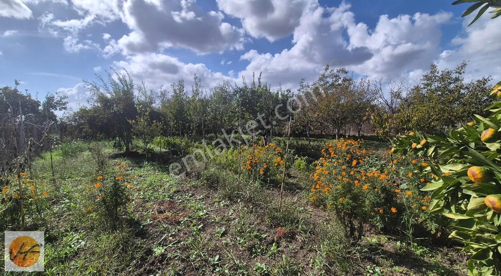 Ayrancılar İnönü Mahallesi Villalar Bölgesinde İmara Yakın Tarla - Görsel 19