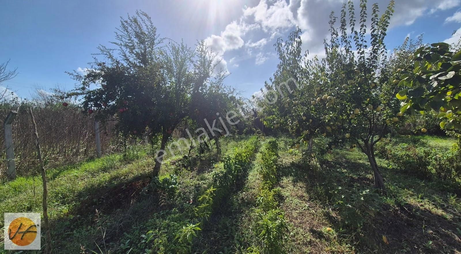 Ayrancılar İnönü Mahallesi Villalar Bölgesinde İmara Yakın Tarla - Görsel 14
