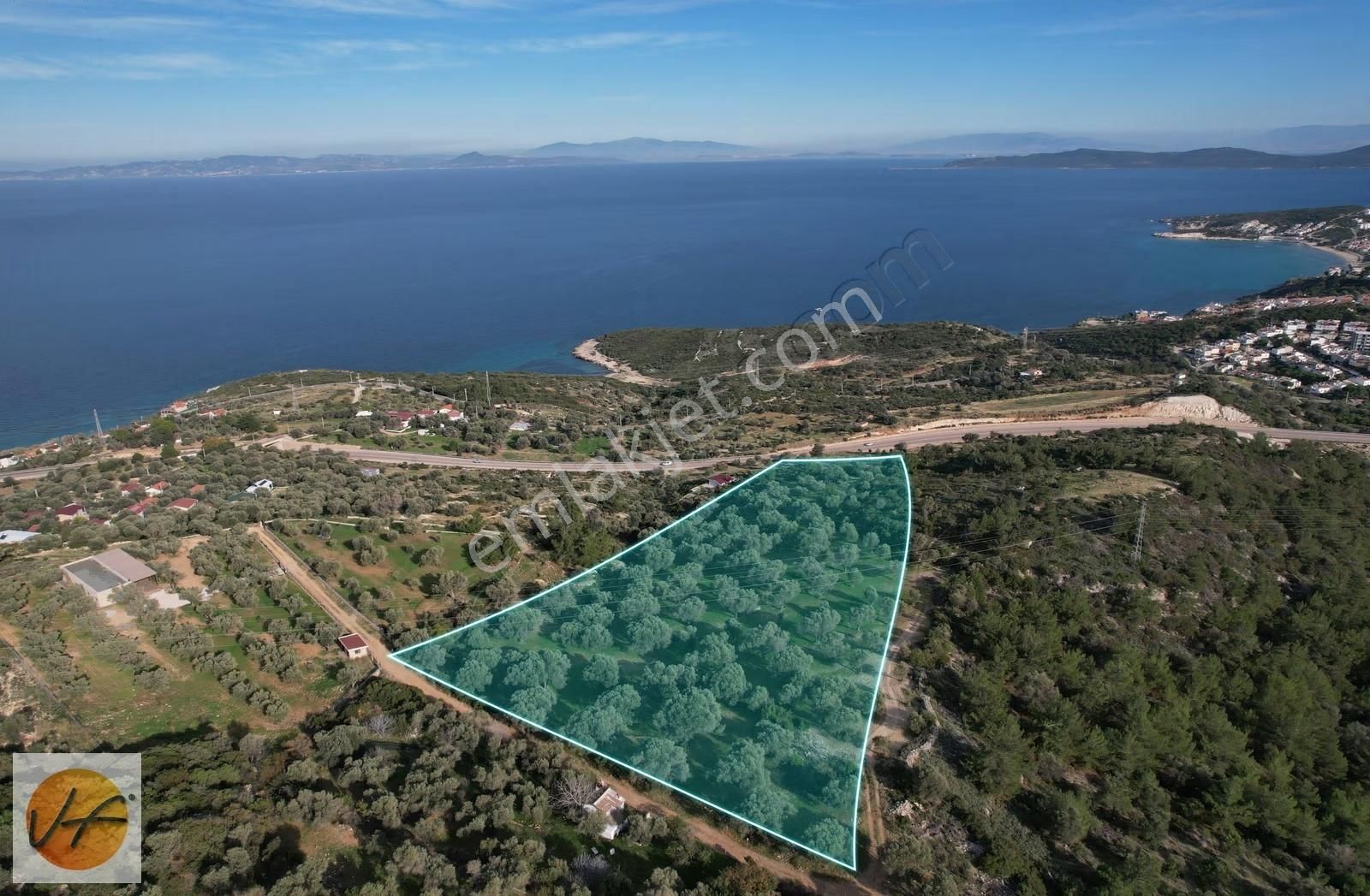 Karaburun Mordoğan Deniz Manzaralı Satılık Zeytinli Tarla - Görsel 10