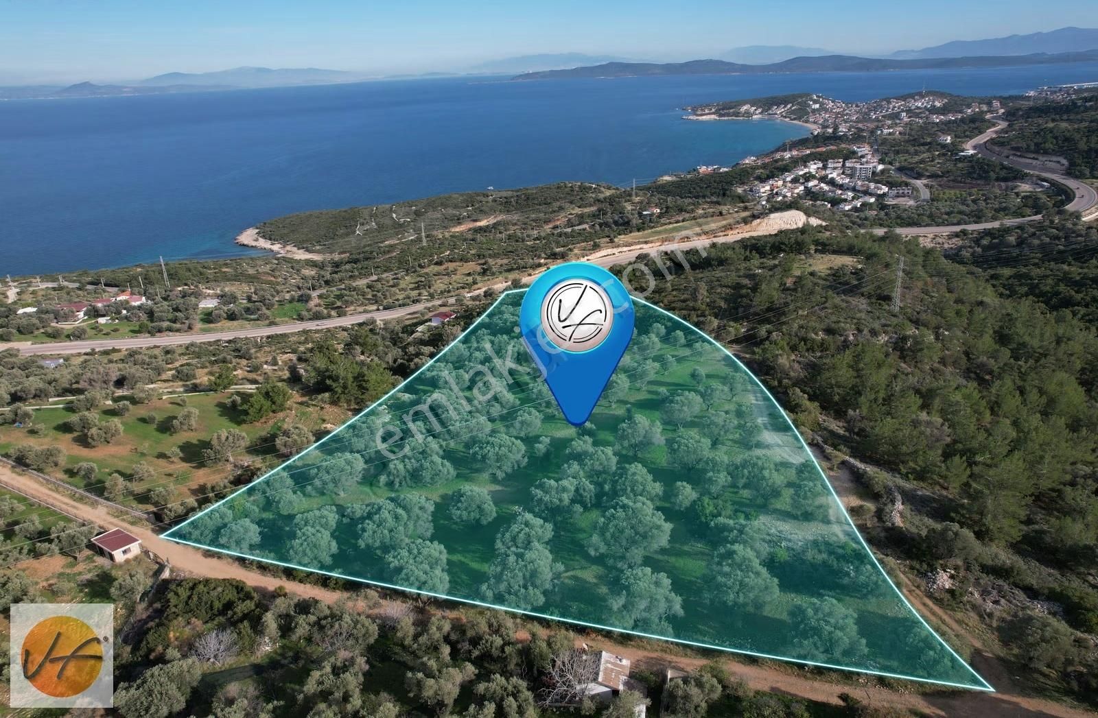 Karaburun Mordoğan Deniz Manzaralı Satılık Zeytinli Tarla - Görsel 21