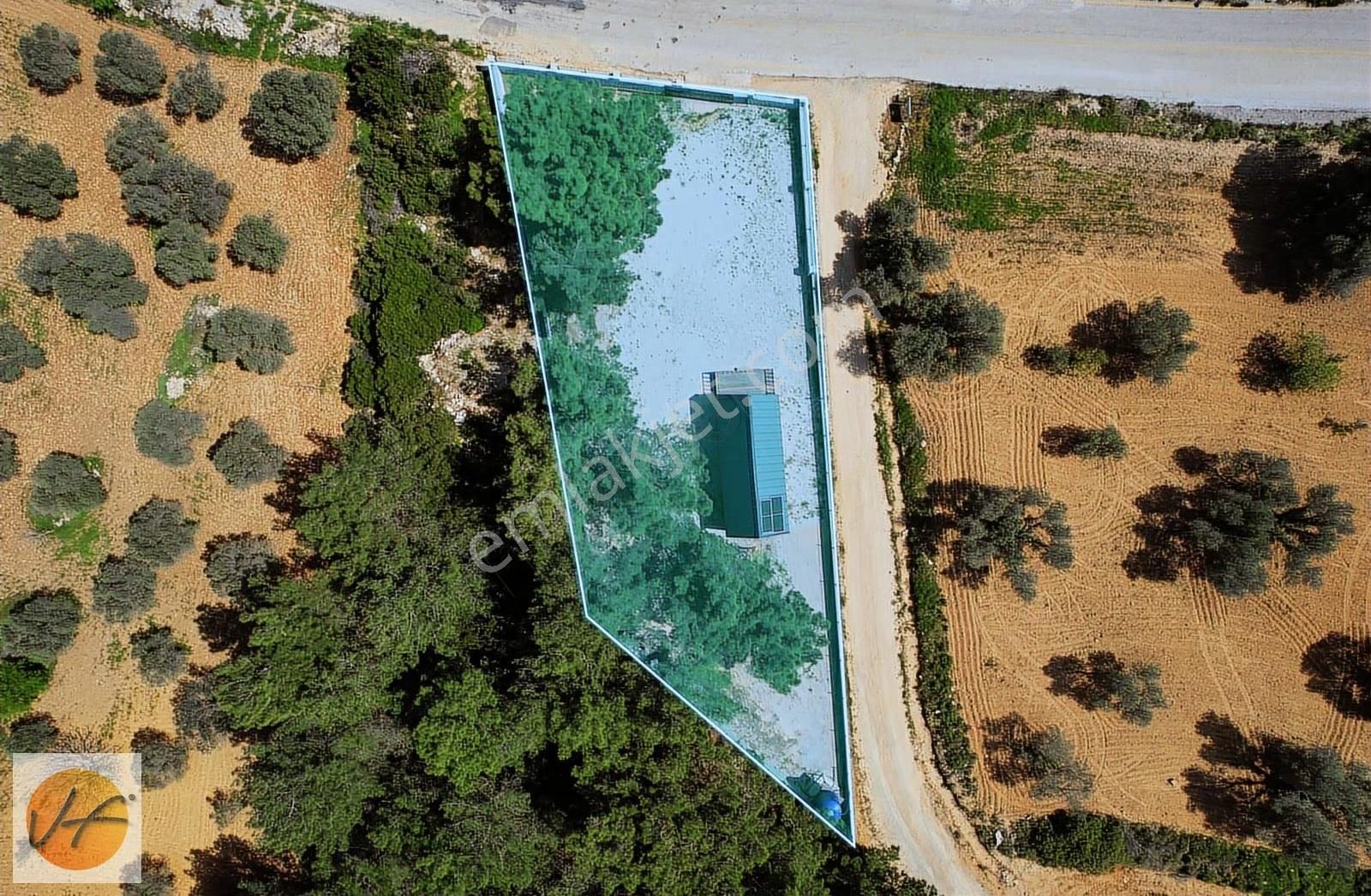 Urla Kadıovacıkta Tarla İçerisinde Satılık Bungalow Ev - Görsel 4