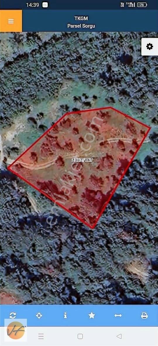 Güzelbahçe Yelki De Yatırımlık Zeytinlik