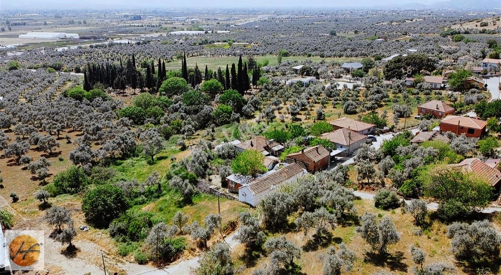 Bayındır Elifli Köyü İçerisinde Ahşap Evi Olan Satılık Tarla - Görsel 5