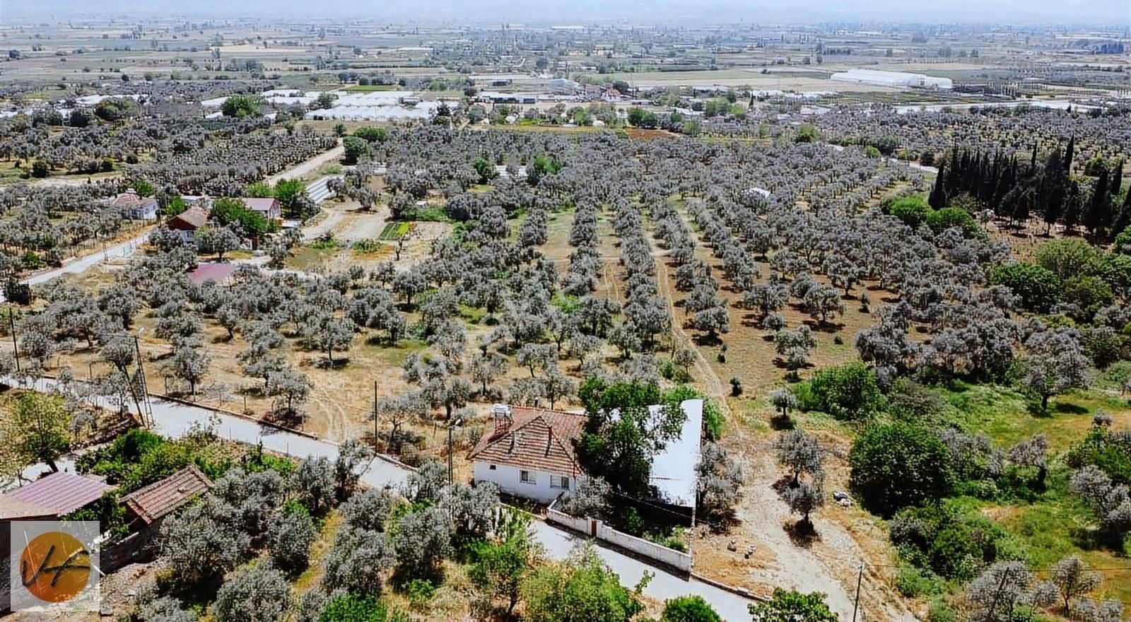Bayındır Elifli Köyü İçerisinde Ahşap Evi Olan Satılık Tarla - Görsel 2