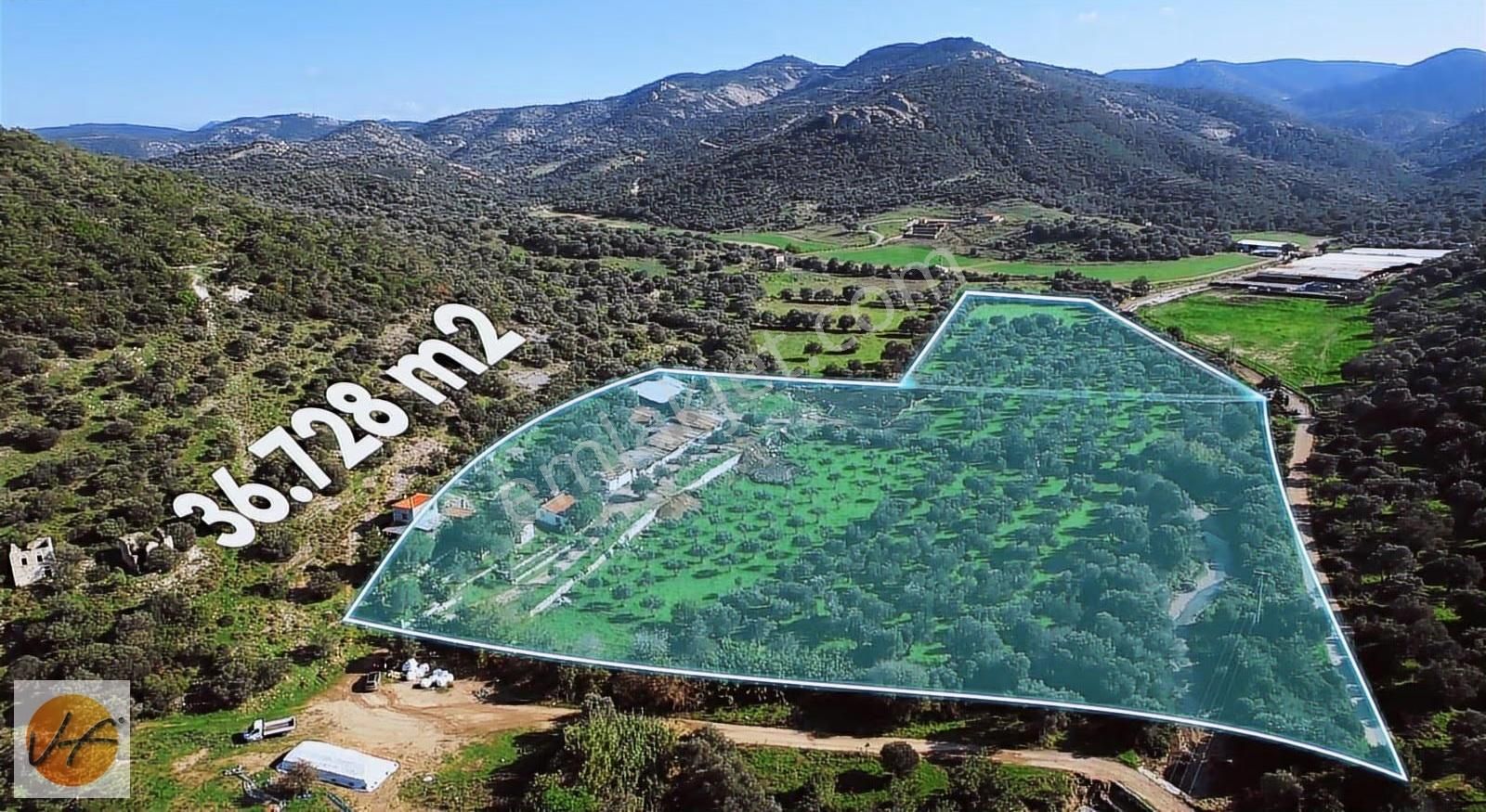 Foça'da Denize Yakın 37.000 M2 Satılık Arsa