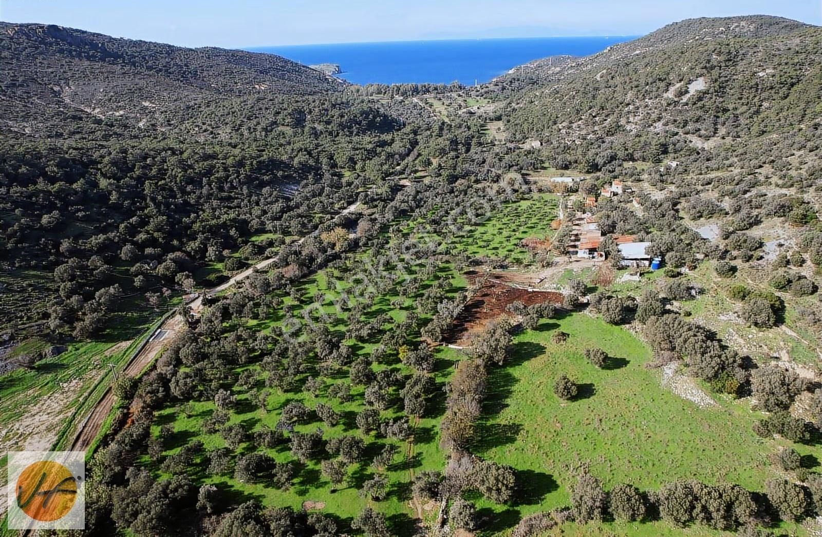 Foça'da Denize Yakın 37.000 M2 Satılık Arsa - Görsel 7