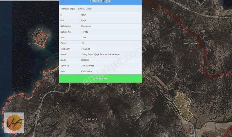 Foça'da Denize Yakın 37.000 M2 Satılık Arsa - Görsel 11