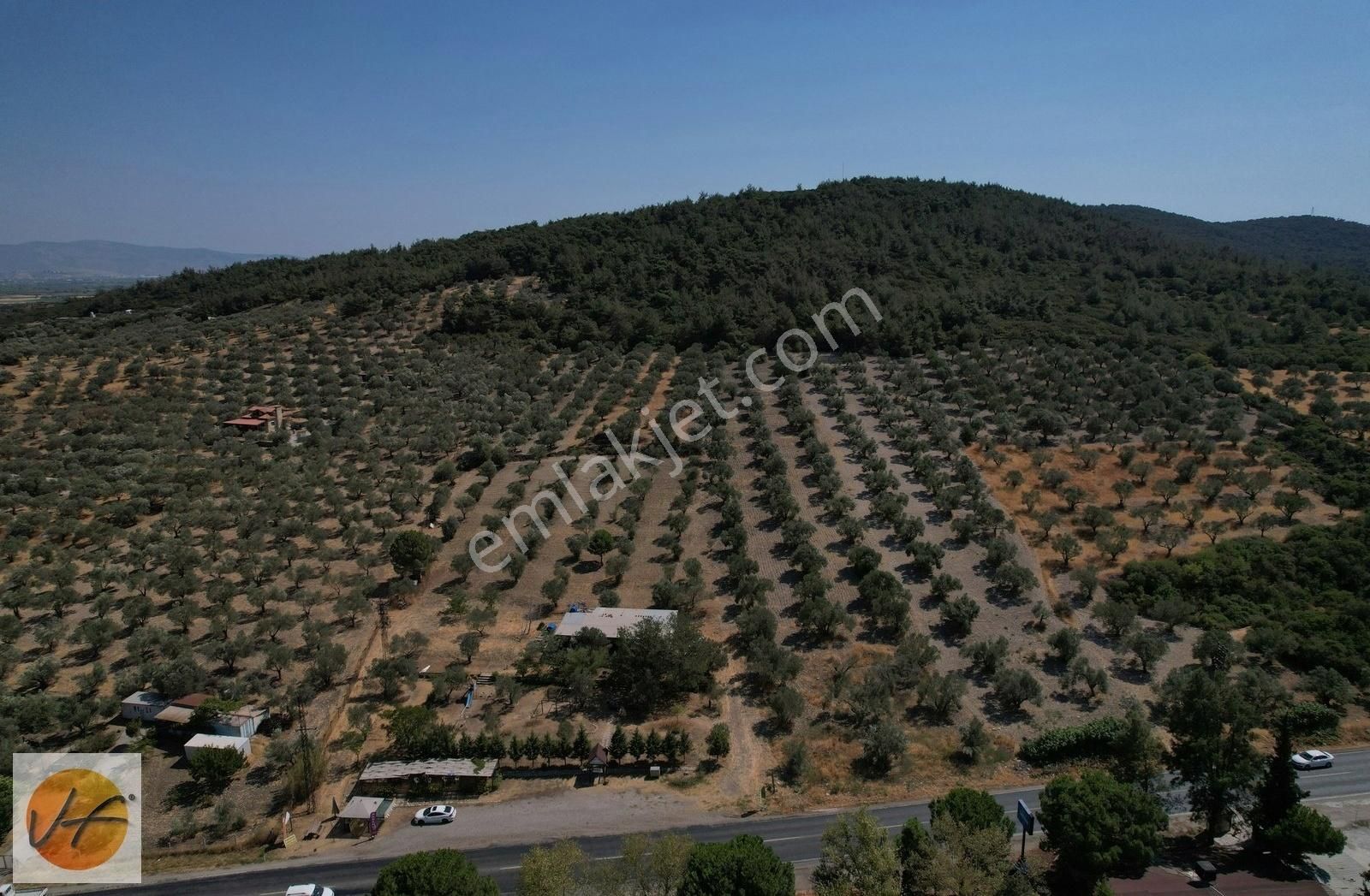 Foça Yolu Üzeri Ticari İmarlı 5928m2 Satılık Arsa - Görsel 3