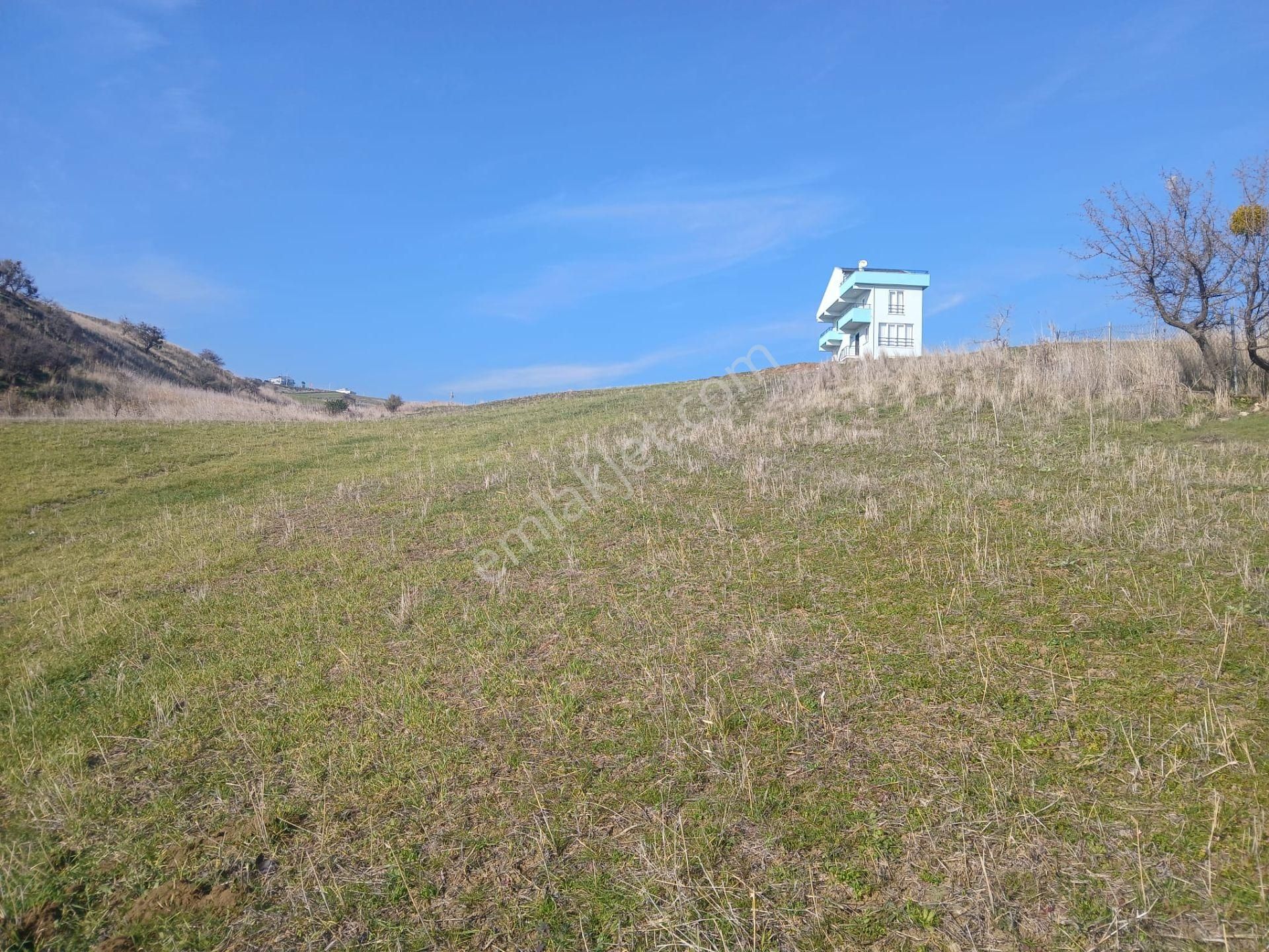Kocaali Mh Denize Yakın Fiyatı Uygun Yatırımlık Arsa - Görsel 9