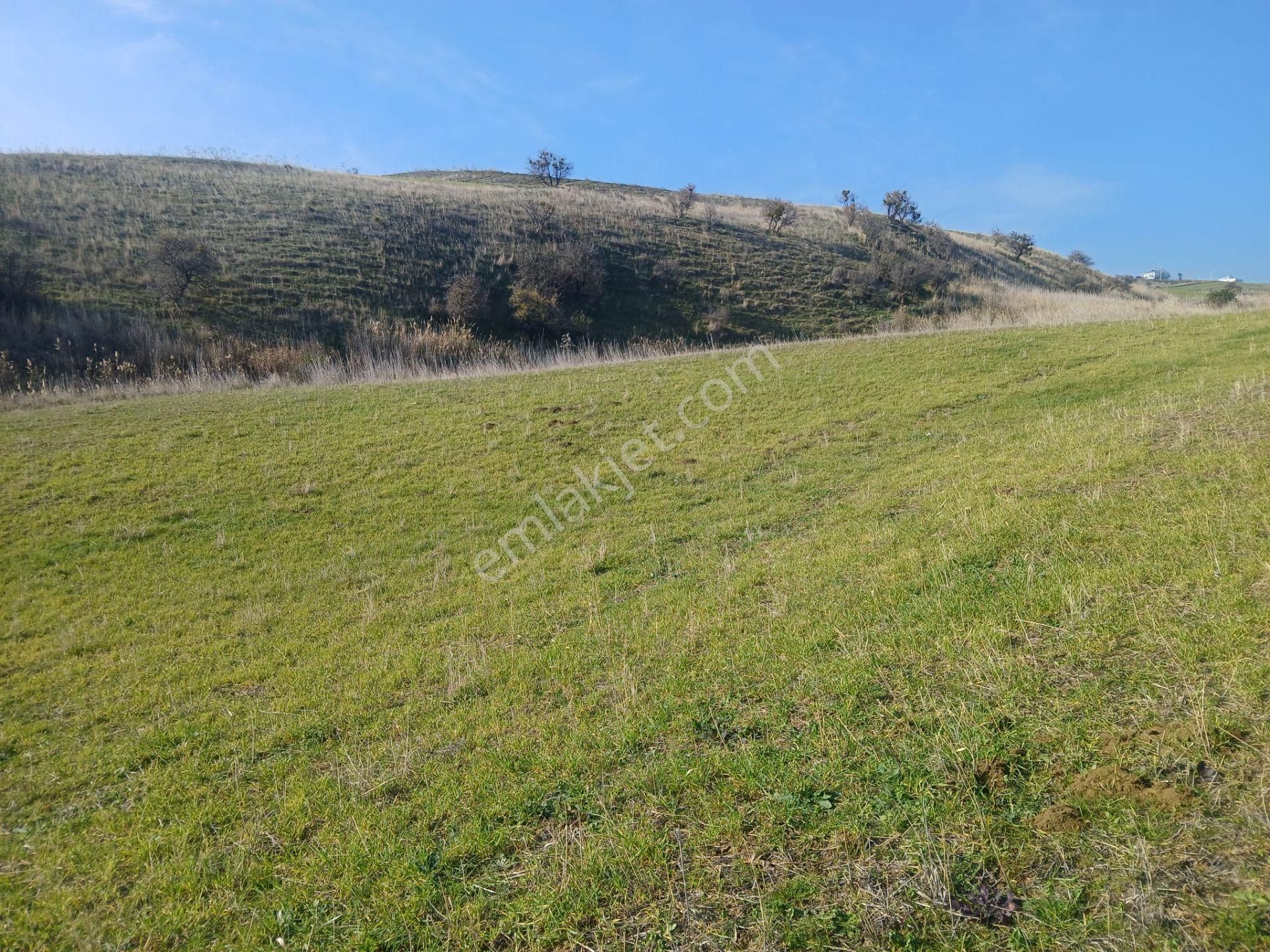 Kocaali Mh Denize Yakın Fiyatı Uygun Yatırımlık Arsa - Görsel 8