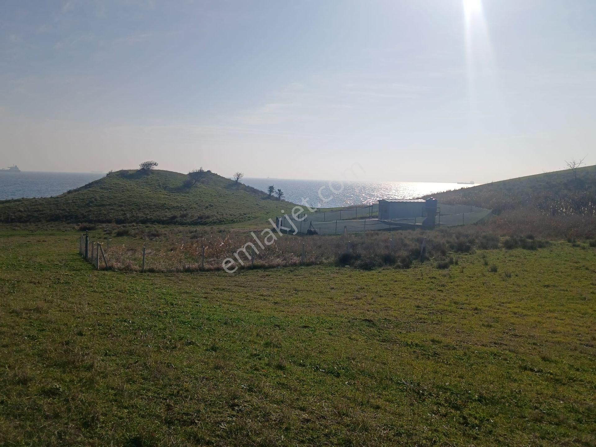 Kocaali Mh Denize Yakın Fiyatı Uygun Yatırımlık Arsa - Görsel 4