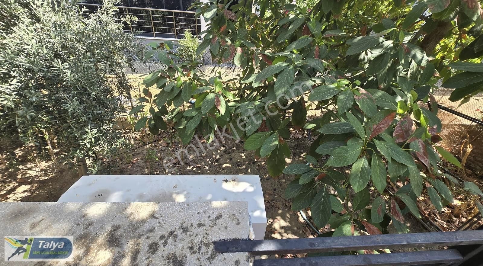 Belek De Bitişik Triplexs 3+1 Daire Ken Dine Ait 200 M2 Arsası - Görsel 23