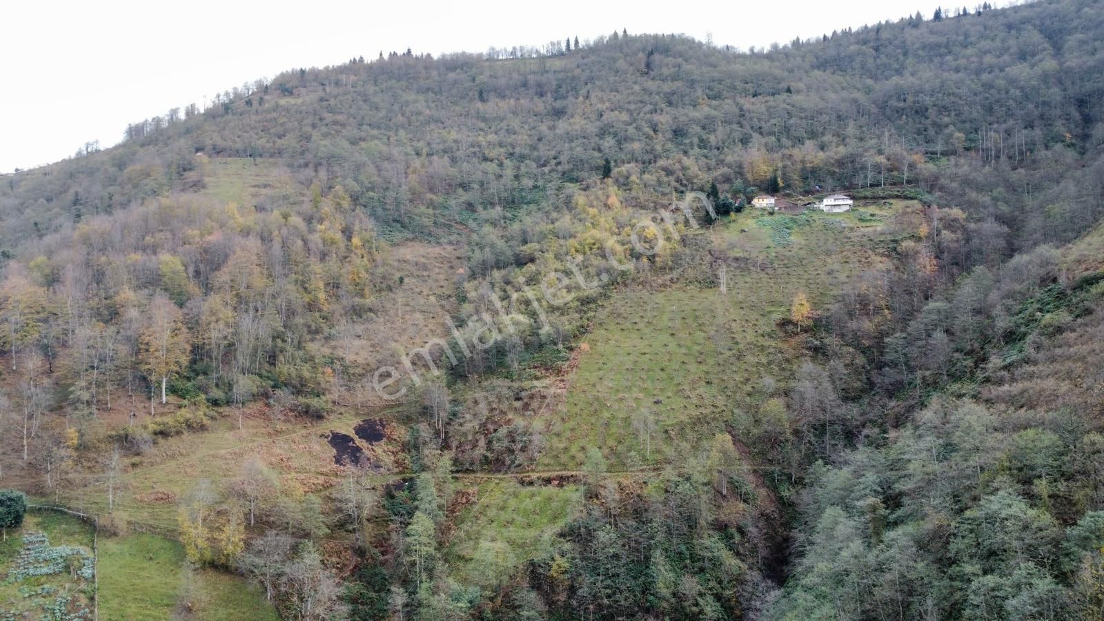 Trabzon Akçaabat'ta Satılık Arazi - Görsel 5
