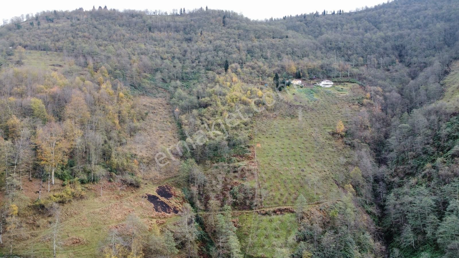 Trabzon Akçaabat'ta Satılık Arazi