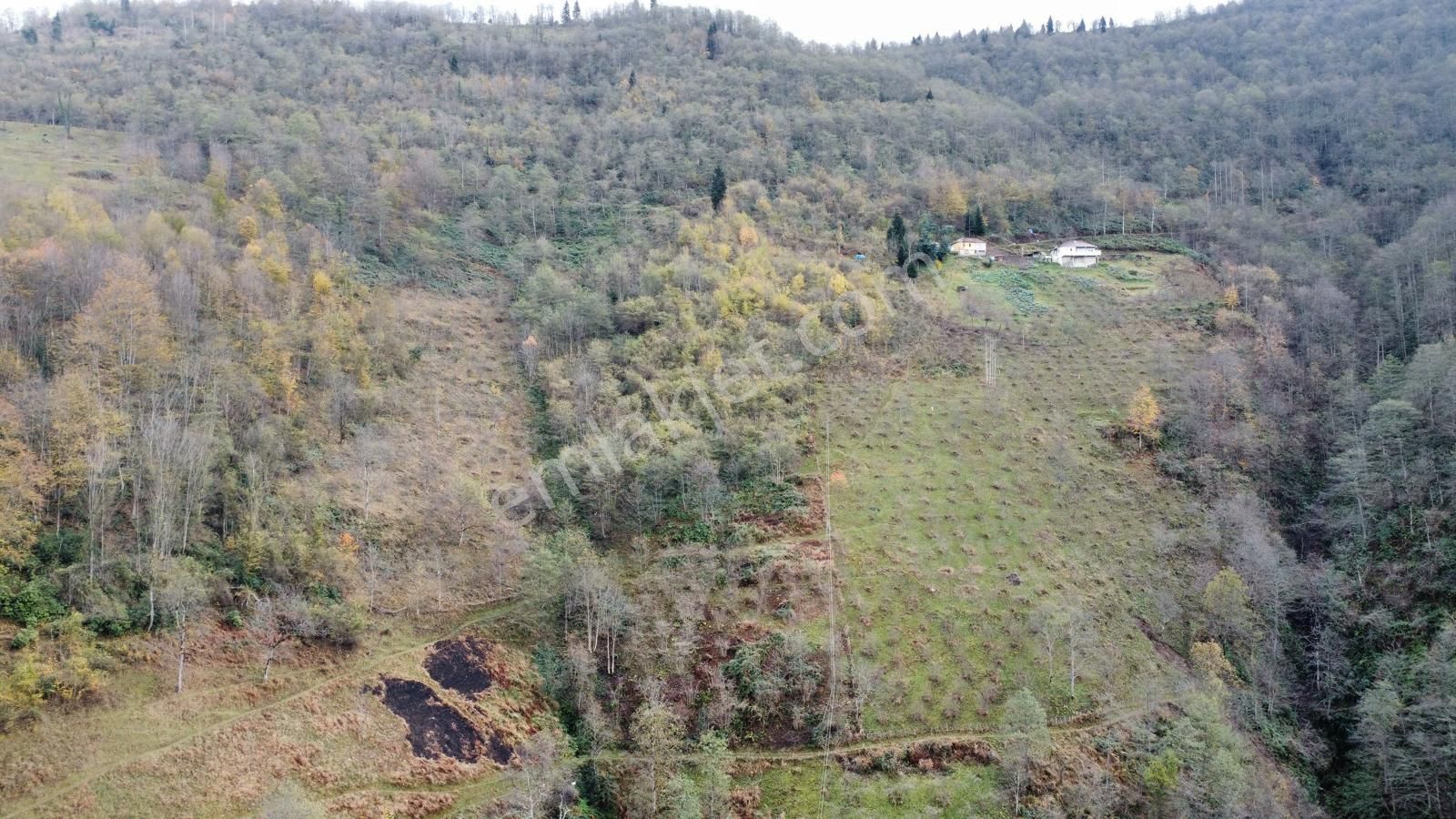 Trabzon Akçaabat'ta Satılık Arazi - Görsel 7