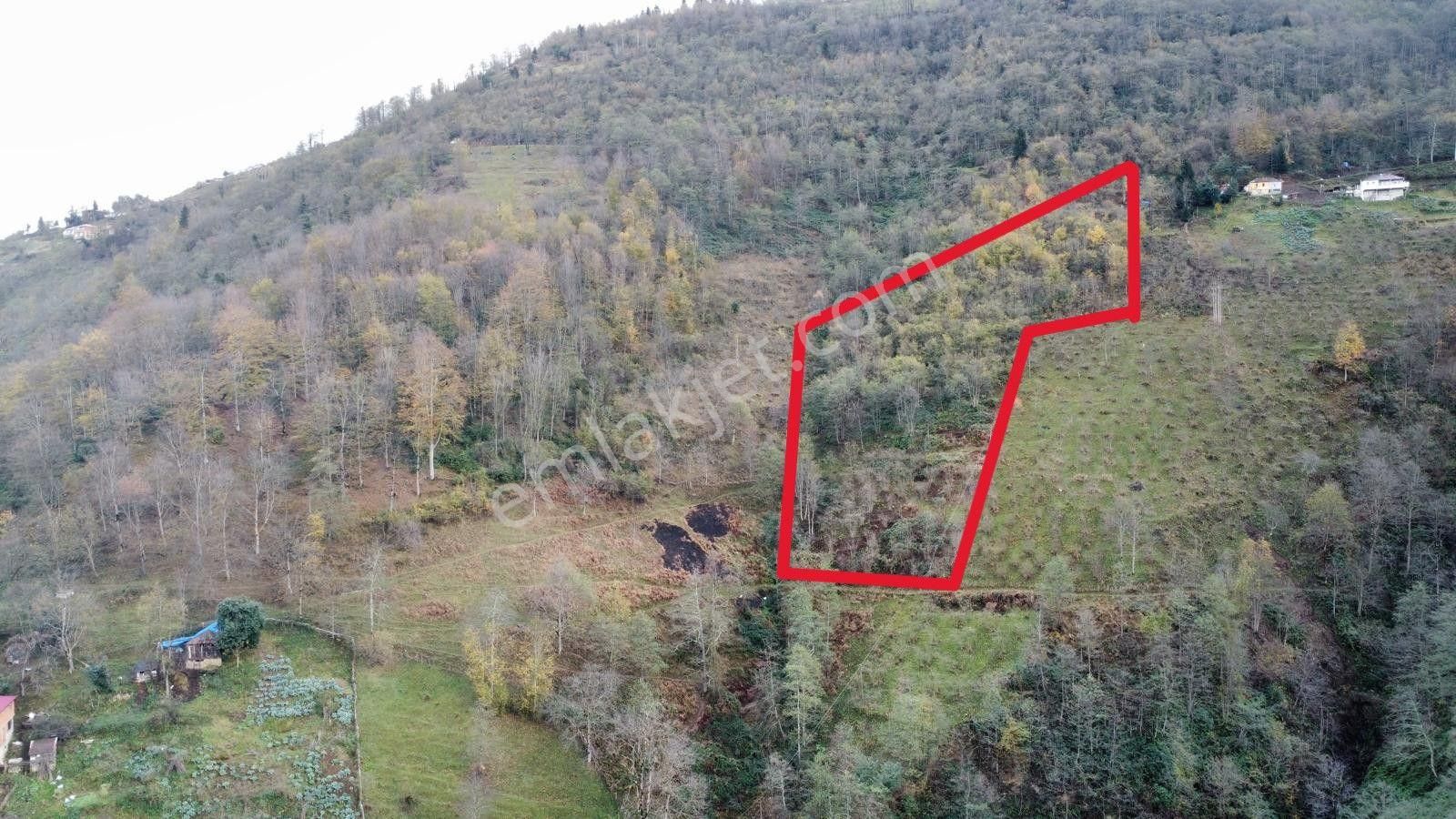 Trabzon Akçaabat'ta Satılık Arazi - Görsel 2