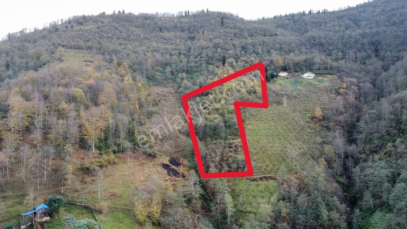 Trabzon Akçaabat'ta Satılık Arazi - Görsel 19