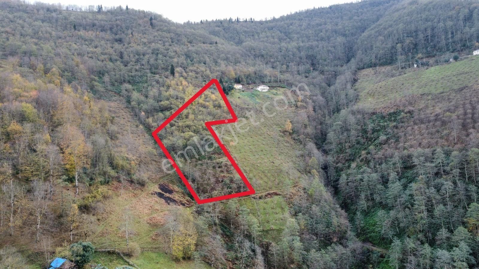 Trabzon Akçaabat'ta Satılık Arazi - Görsel 3