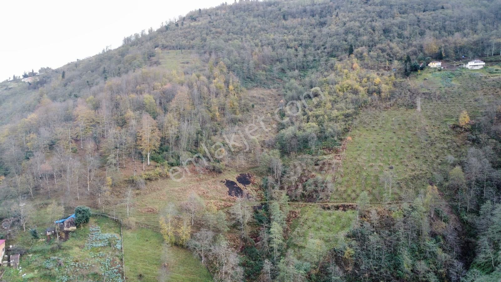 Trabzon Akçaabat'ta Satılık Arazi - Görsel 21