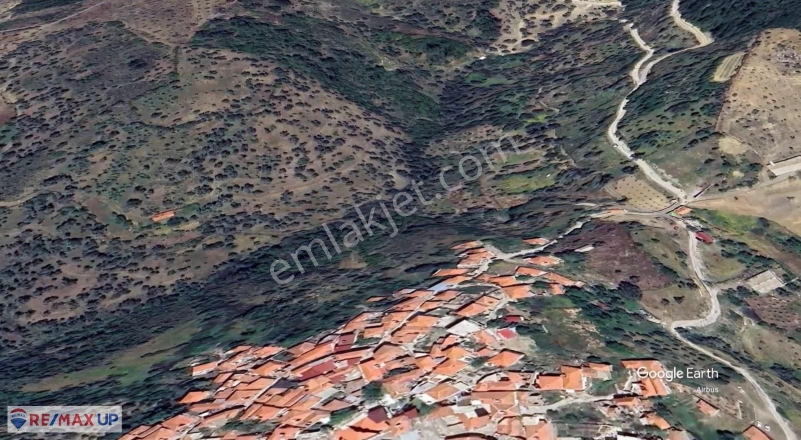 Seferihisar Beyler Mahallesi'nde Satılık Tarla - Görsel 3