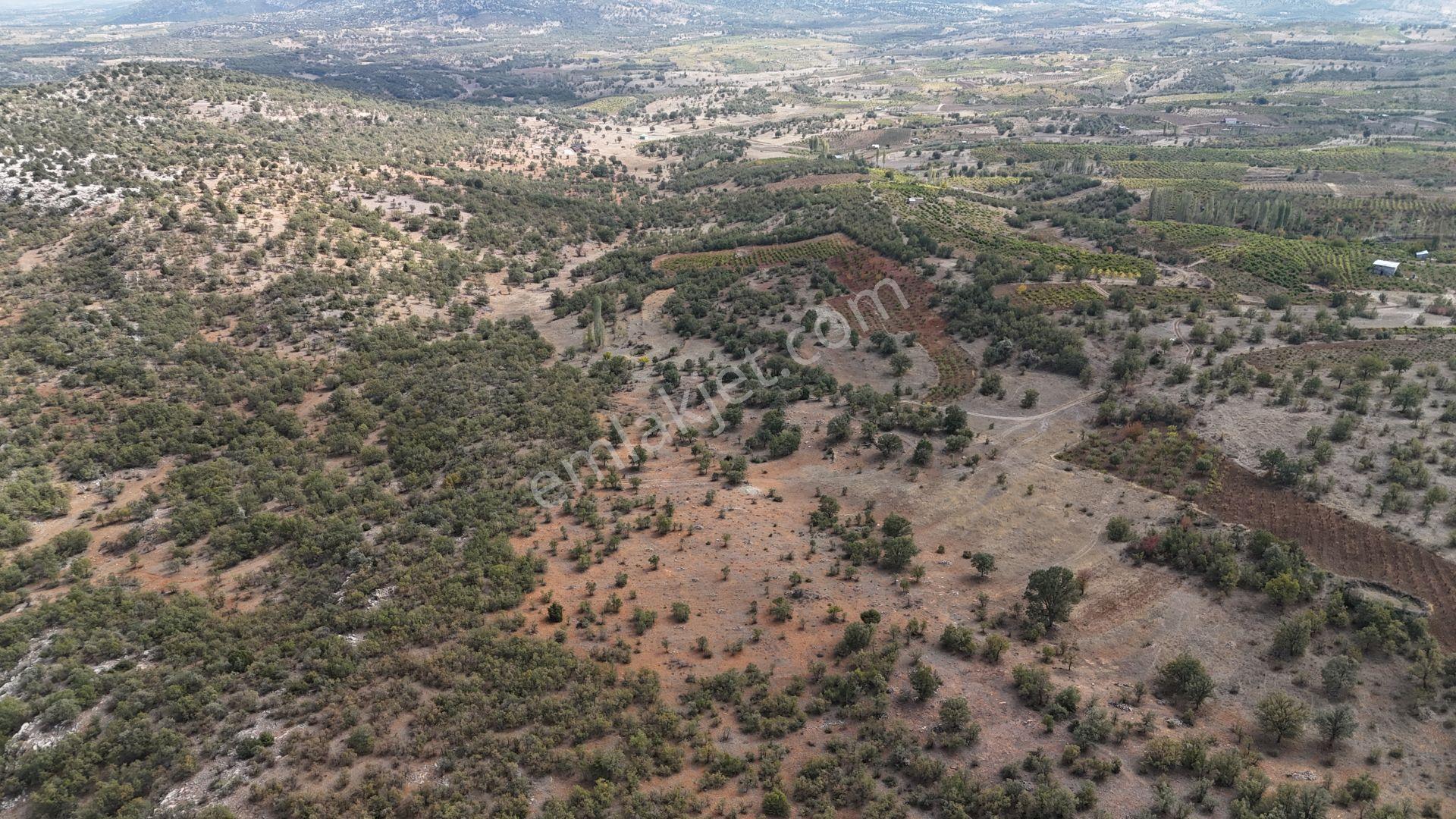 Konya / Bozkır / Hamzalar Mahallesinde 699 M² Müstakil Bağ - Görsel 4