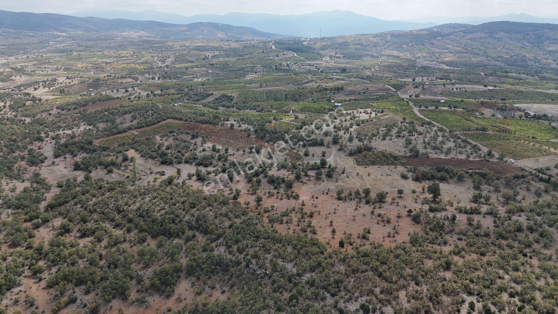 Konya / Bozkır / Hamzalar Mahallesinde 699 M² Müstakil Bağ - Görsel 3
