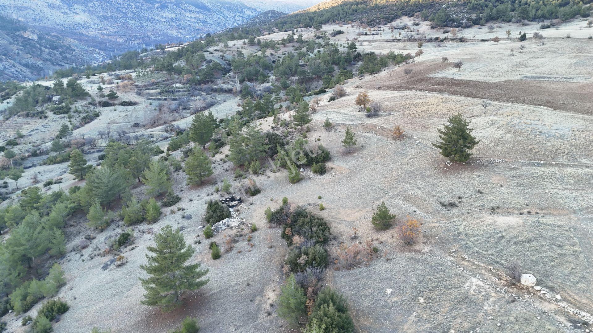 Karaman / Ermenek / Elmayurdu Mahalllesinde 431 M² Müstakil Tapulu Tarla - Görsel 11