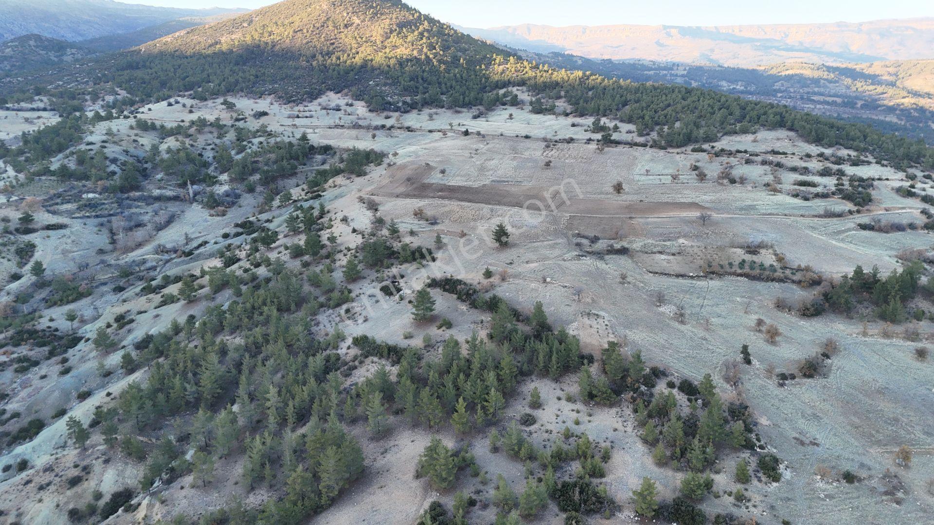Karaman / Ermenek / Elmayurdu Mahalllesinde 431 M² Müstakil Tapulu Tarla - Görsel 2