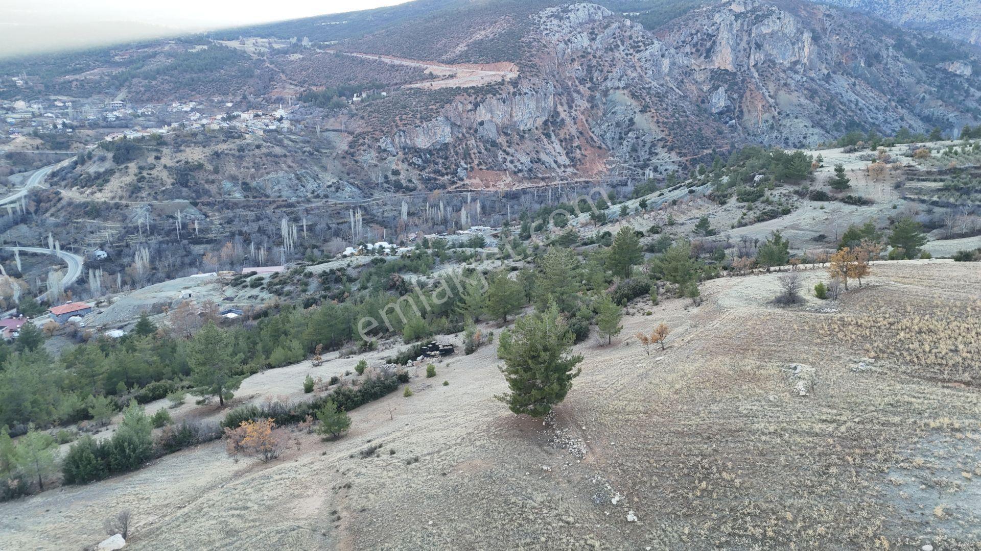 Karaman / Ermenek / Elmayurdu Mahalllesinde 431 M² Müstakil Tapulu Tarla - Görsel 3