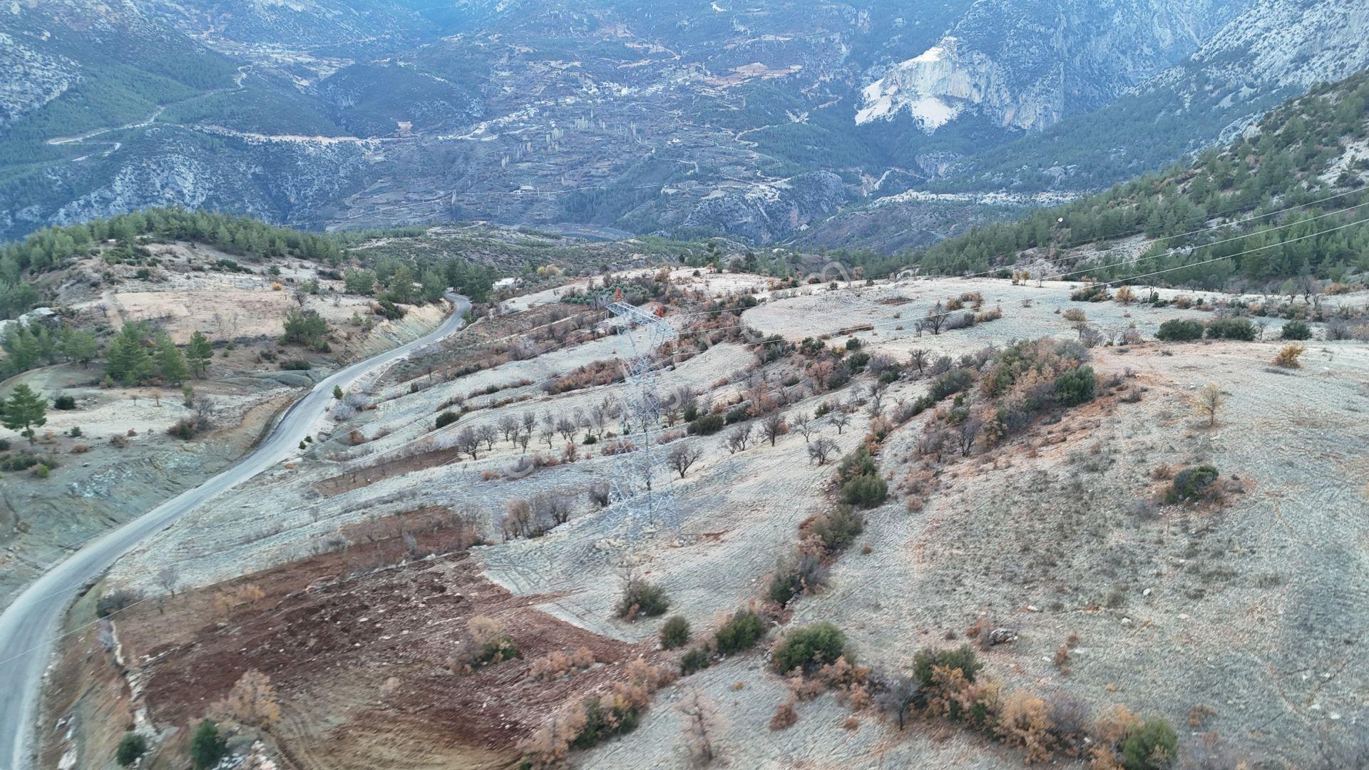 Karaman / Ermenek / Boyalık Mahallesinde 4.944 M² Müstakil Tapulu Tarla - Görsel 4
