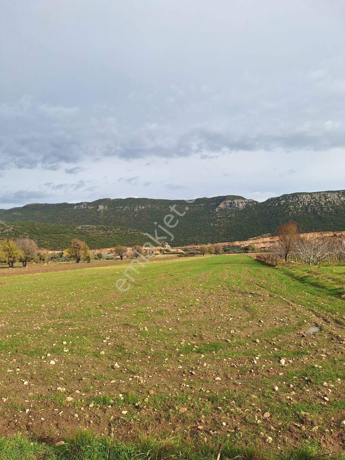 Kalkan Bezirgan'da 5250 M2 Yol Kenarında Satılık Tarla