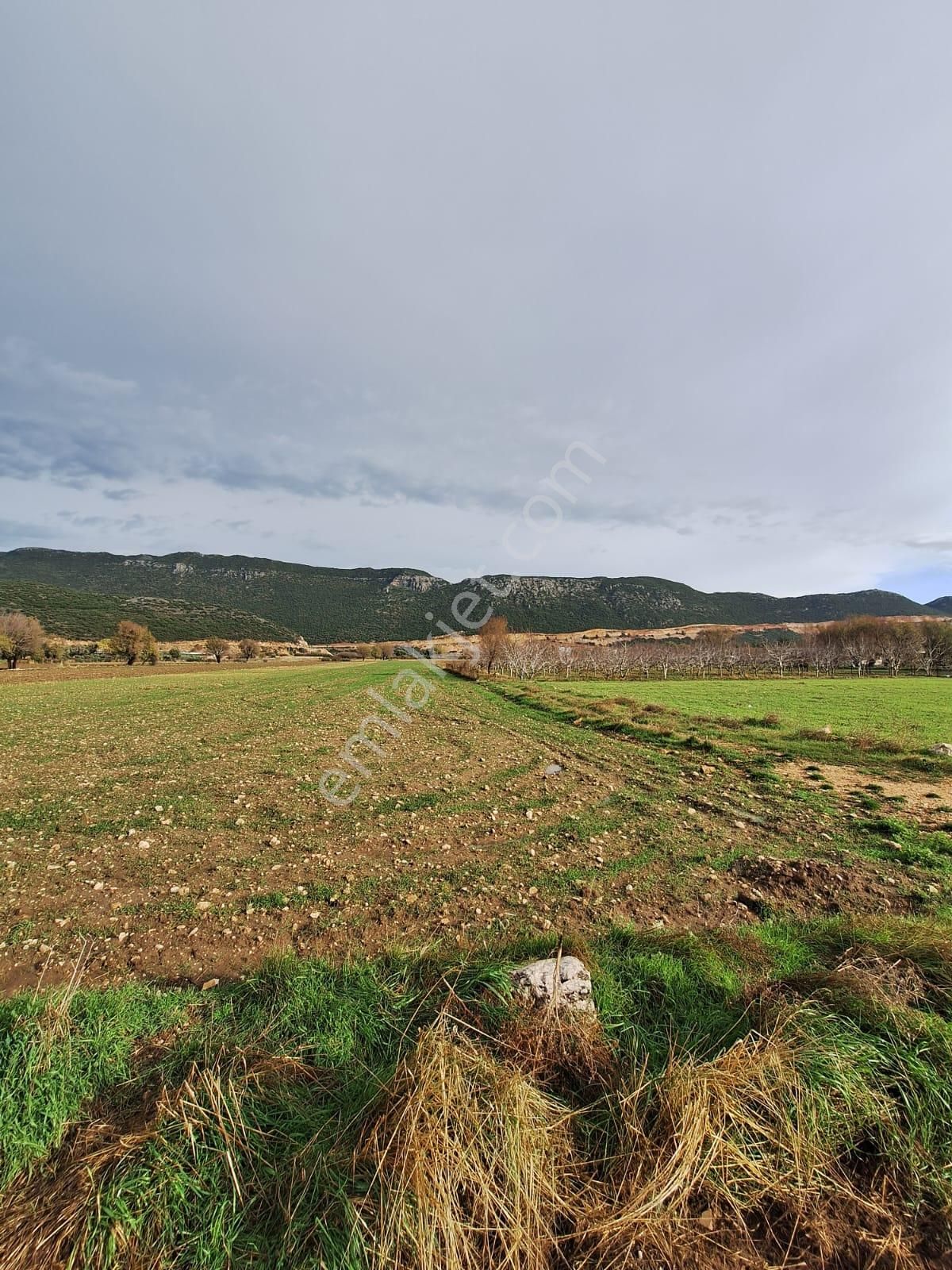 Kalkan Bezirgan'da 5250 M2 Yol Kenarında Satılık Tarla - Görsel 2